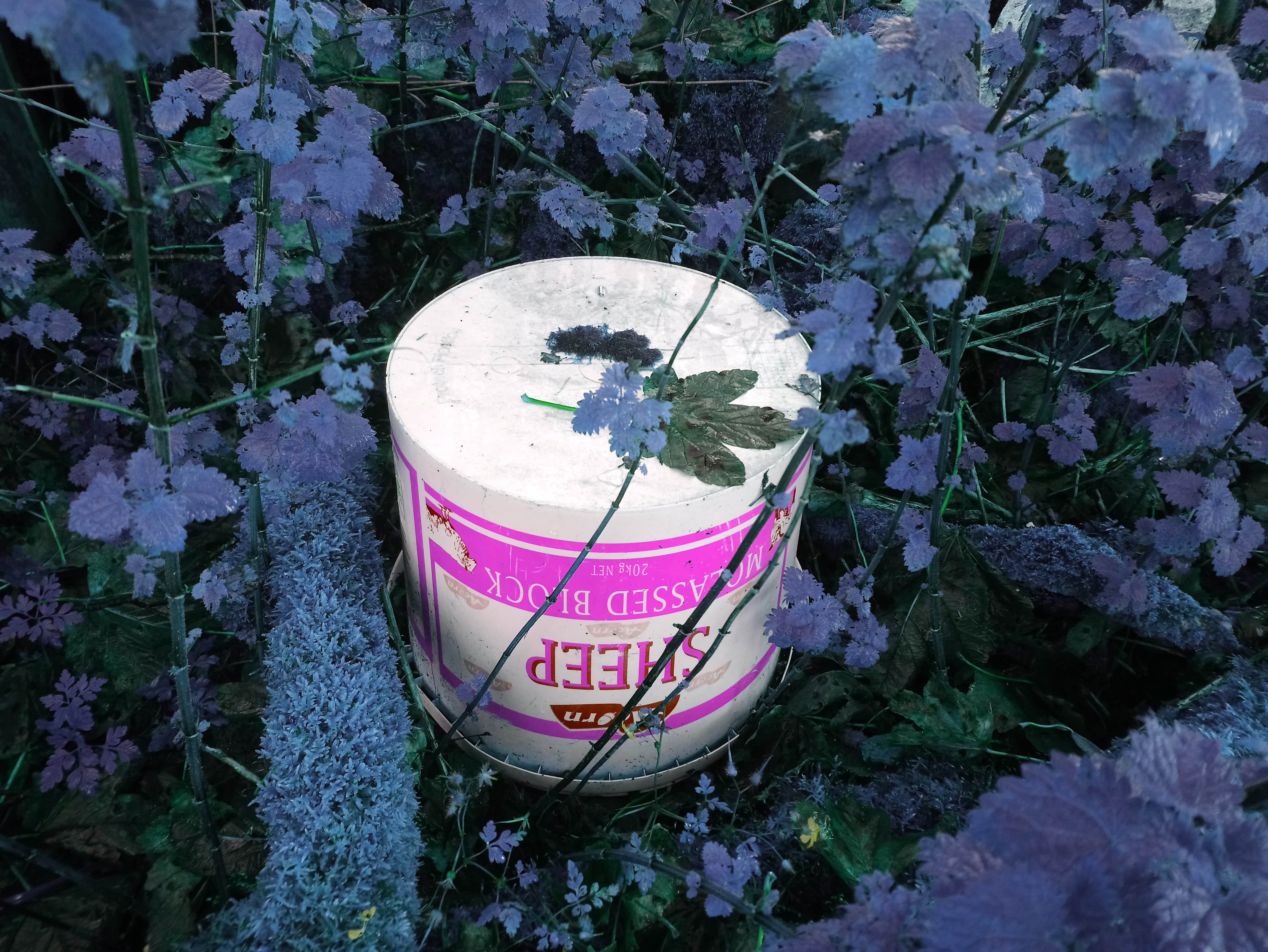 Marilin North, photograph, Land of Nod series